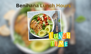 Taco Bell Lunch Hours 2025 | What Time Lunch Starts & Ends