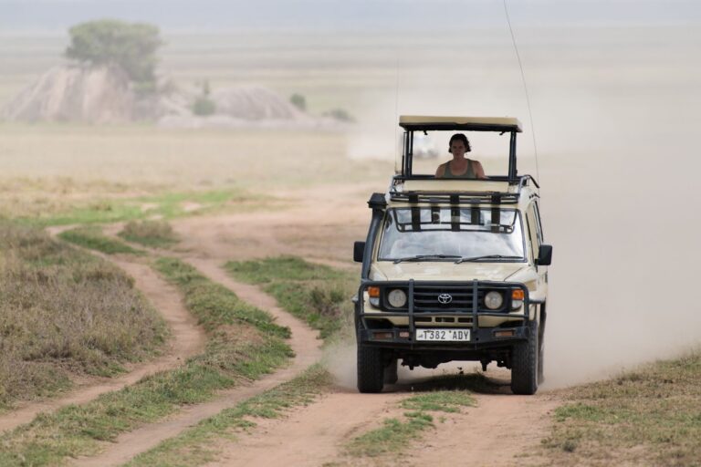 Is Tanzania Safe for Solo Travelers? A Complete Safari Guide
